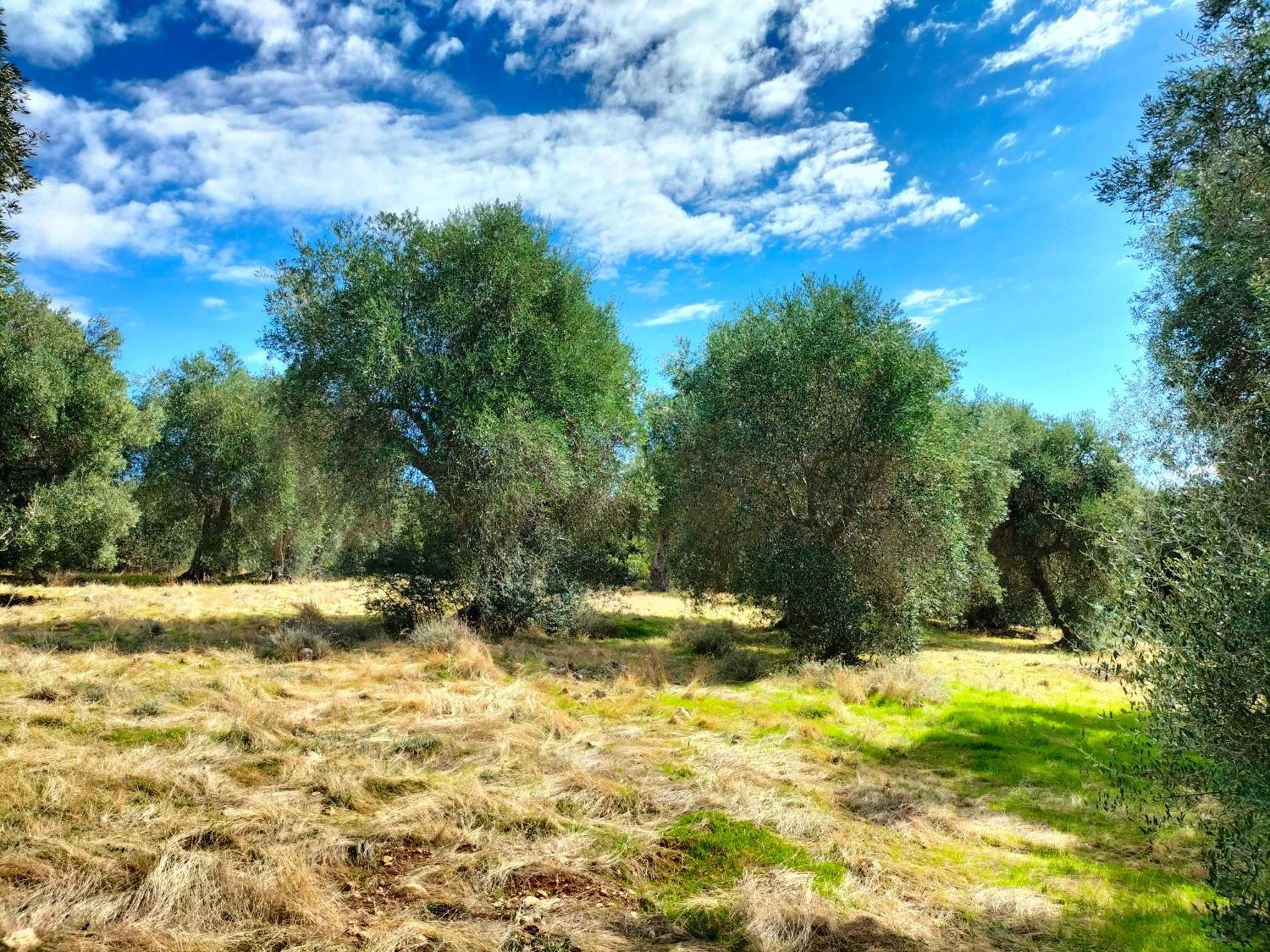 Agriturismo Lillastro Braccagni Exteriér fotografie