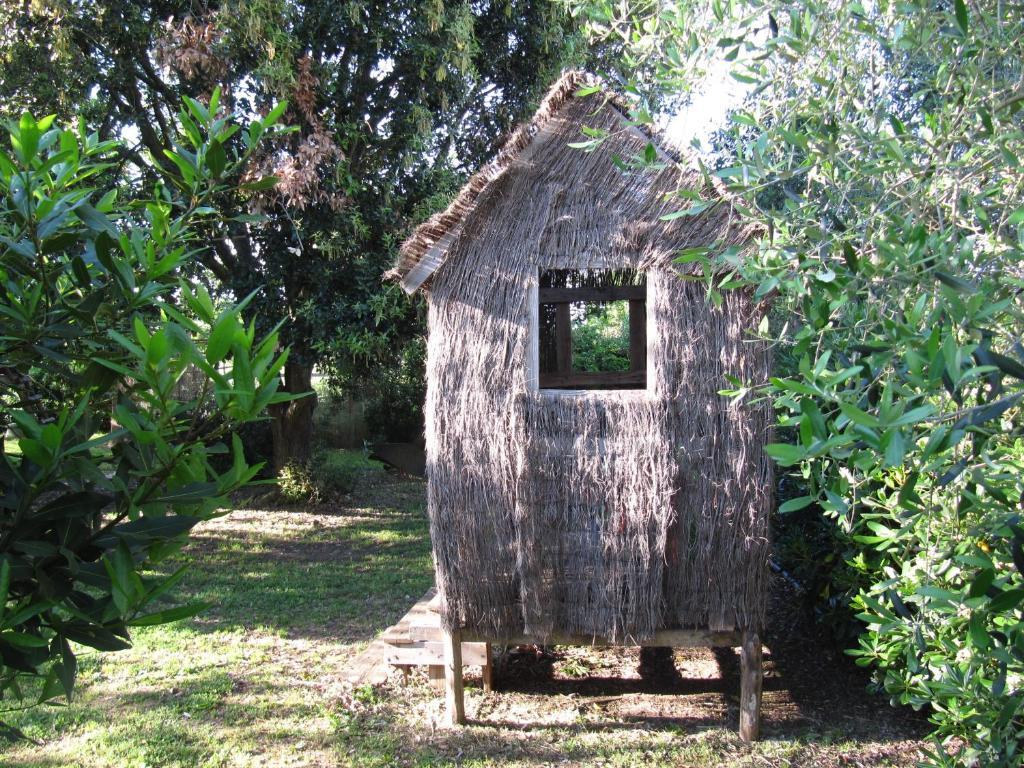 Agriturismo Lillastro Braccagni Exteriér fotografie